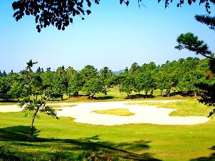 타이중 국제 골프 클럽