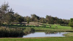 알바렐라 골프 링크스