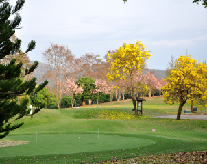 치앙마이 더 로얄 (P2)
