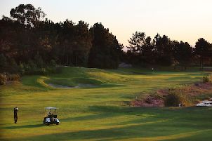 가디언 봄 수세소 GCGV (P2)