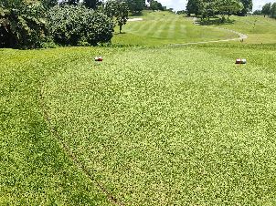 셈바왕 컨트리 클럽 (P3)