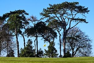 포타 아일랜드 리조트