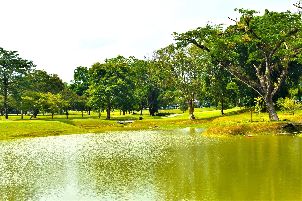 로얄 페락 골프 클럽