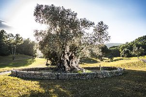 손 문타네르 GC (P2)