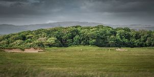 도니골 골프 클럽
