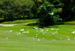 후이저우 허우냐오 골프 클럽