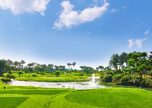 파인스톤 컨트리클럽