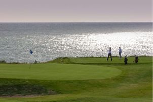 네핀 골프 클럽