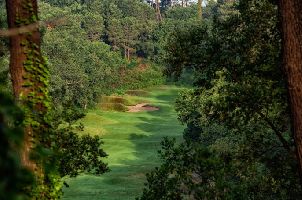 골프 드 세이뇨스