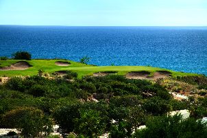 푸에르토 로스 카보스 골프 코스