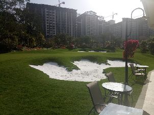 양장 바오리 인탄 골프클럽 