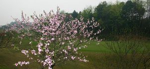 이양 쯔산후 국제 골프 클럽