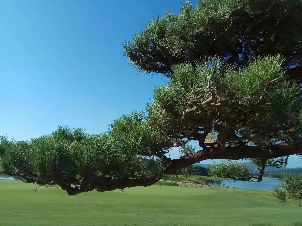 모스 레이크 골프 클럽 