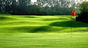 자오칭 골프 클럽 