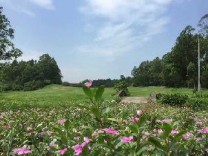 자오칭 골프 클럽 