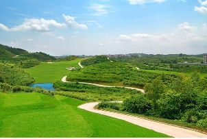 양장 타오징 골프 클럽