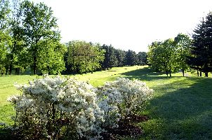 Barlassina 컨트리 클럽 (P3)