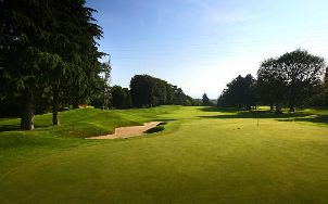 카리마테 골프 클럽 (P2)