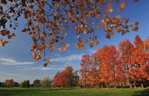 몬티첼로 골프 클럽