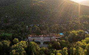 비다고 팔라스 (P2)