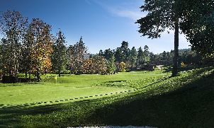 비다고 팰리스 (P3)