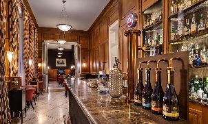 비다고 팰리스 (P3)