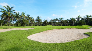 훌라훌라 골프 클럽 (P2)