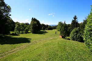 골프 데이 라기