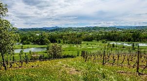 골프 클럽 빌라 카롤리나