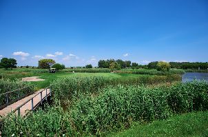 델레 토리 골프 프라