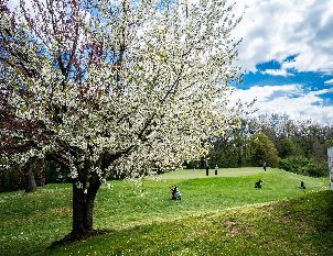 골프 나치오날레 레 퀘르체