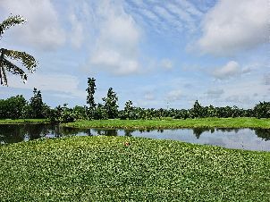 훌라훌라 골프 클럽