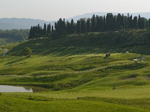 포지오 데 메디치