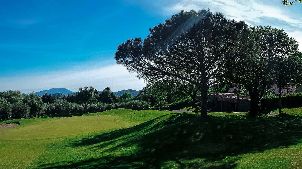 일 피치올로 골프 클럽 (P3)