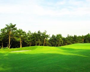 난창 폴리 골프 클럽