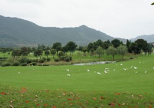 닝보 치신 그린 골프 클럽