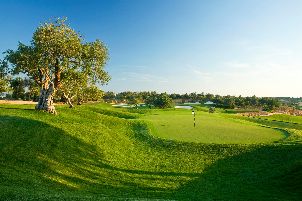 아멘도에이라 골프 리조트 - 오코너 주니어 코스