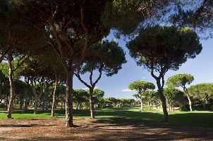 돔 페드로 밀레니엄 골프 코스 빌라모라  (P2)