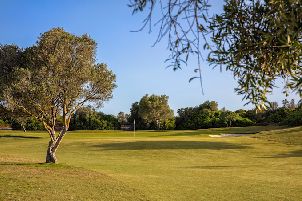 에스피체 골프 (P2)