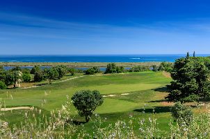 팔마레스 - 알보르 & 라고스 코스