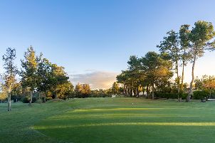 펩스타나 알토 골프 (P4)