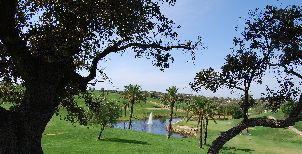 페스타나 골프 & 리조트 - 그라마쇼 (P3)