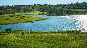 모르가도 골프 & 컨트리 클럽 - 알라모스 골프 코스