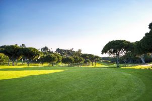 도미니크 페드로 올드 코스 골프 빌라모우라 (오세아니코) (P3)