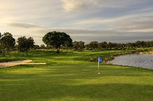 리바골프 오크스  (P2)