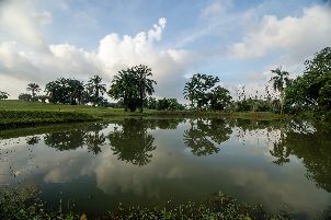 다이만 18 골프 클럽 (P2)