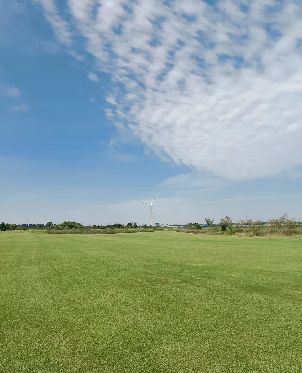 옌청 사양 해빈 국제 골프클럽