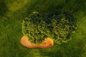 퀸타 다 마리냐 골프 코스