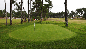 트로이아 골프 (P2)