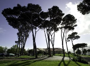 팔레이루 골프 (P3)